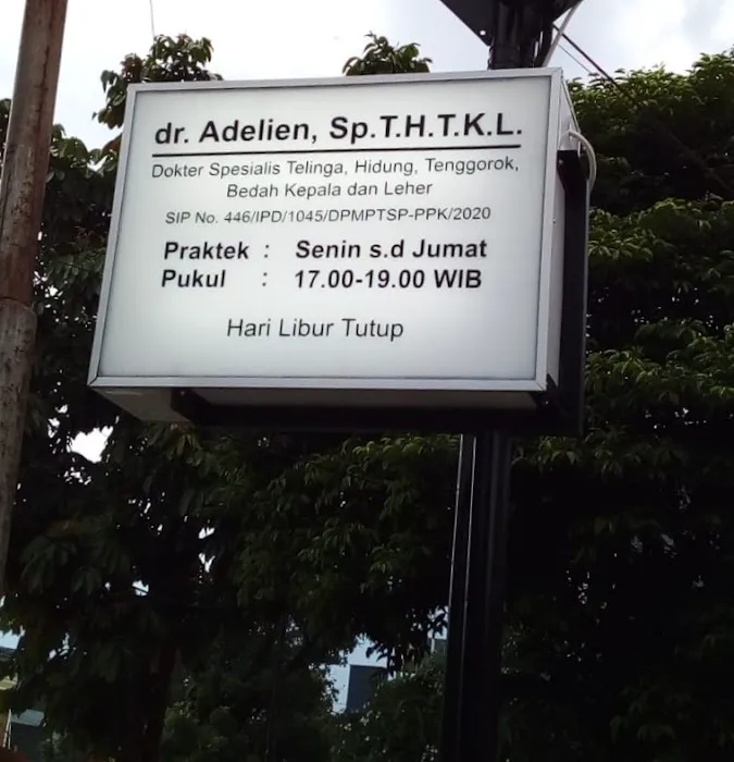 dr. Adelien, Sp.T.H.T.K.L Picture 2