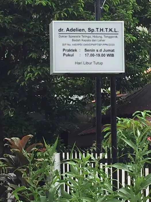 dr. Adelien, Sp.T.H.T.K.L Picture 1