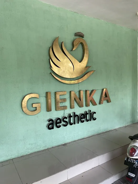 Gienka Aesthetic Picture 4