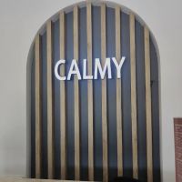CALMY Clinic ico