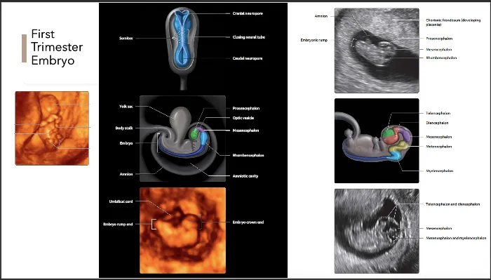 dr. Eric Tjahyadi, SpOG Picture 9
