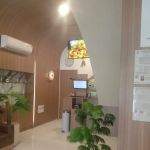 Naavagreen Plus Palembang
