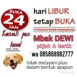 bengkel awak spesialis pijat & kerik ( hotel chadea )