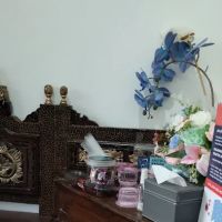 D'Dental Care ico