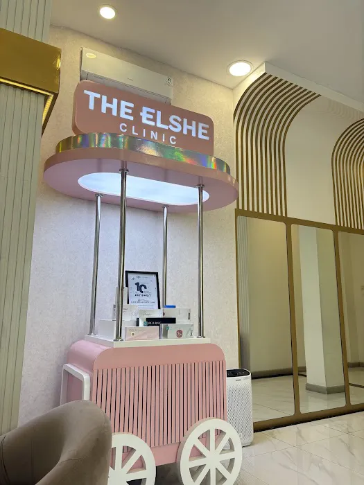 The Elshe Clinic Picture 2