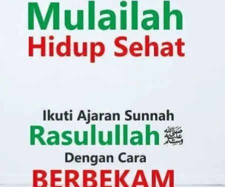Rumah Sehat Alnes