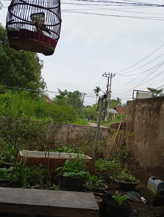 PIJAT URUT MBAH PUTRI Picture 1