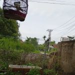 PIJAT URUT MBAH PUTRI
